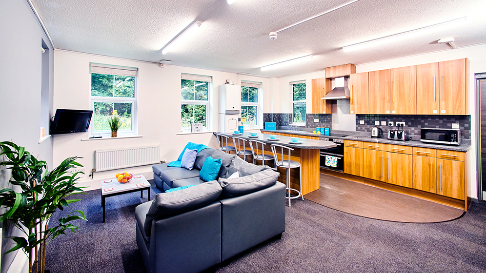 Windsor Terrace shared kitchen